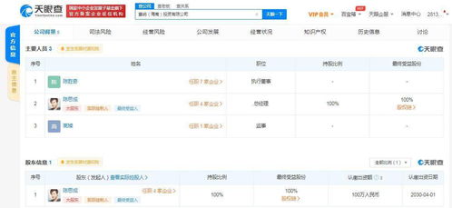 陳思成海南成立投資公司，業務涵蓋資金投資與項目策劃服務